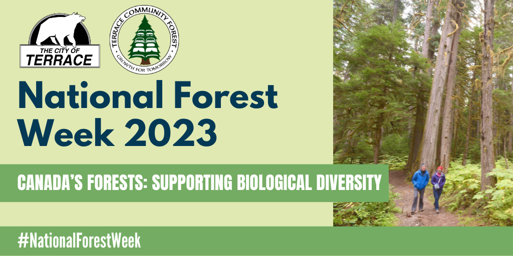 banner for National Forest Week 2023, with an image of two people walking along a trail surrounded by huge trees