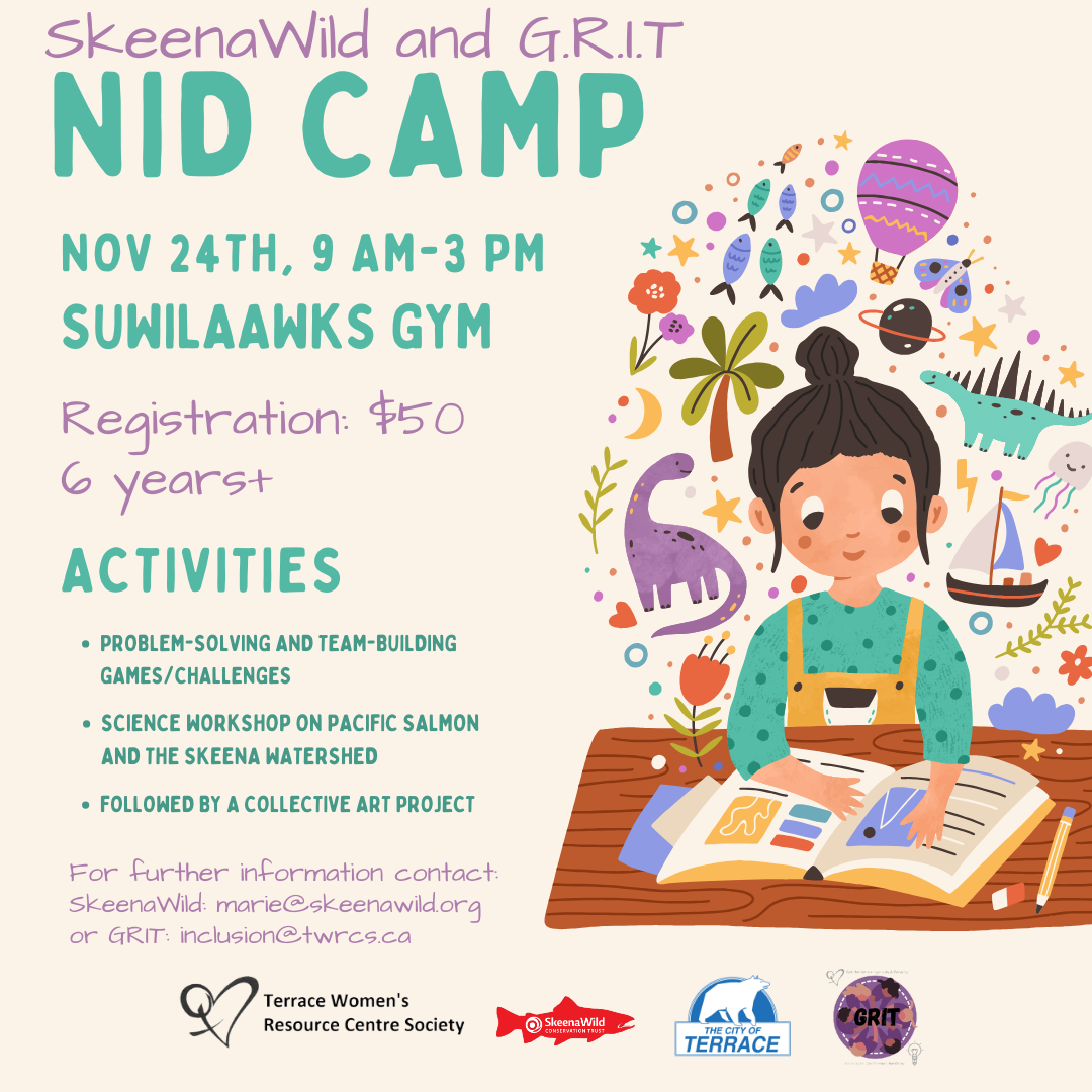 a poster listing activities for the NID camp, alongside a graphic of a girl reading a book with all kinds of things floating around her head like dinosaurs, boats, and air balloons