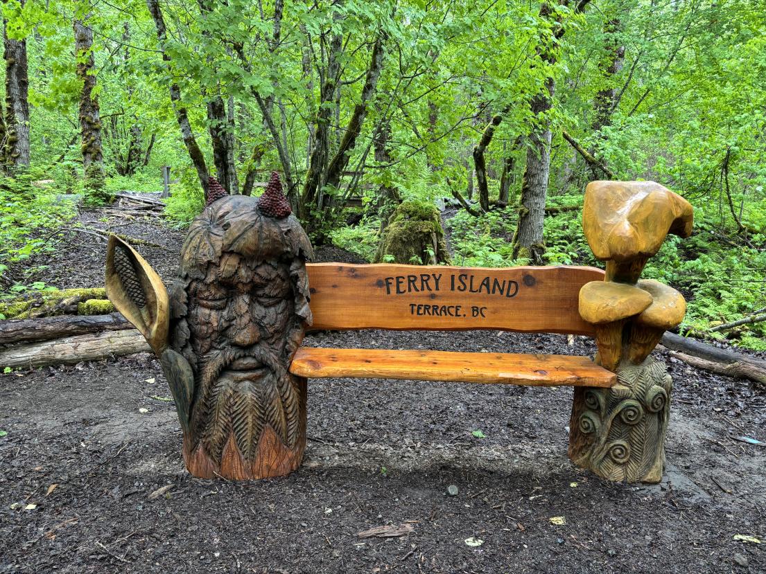 Ferry Island mushroom benche