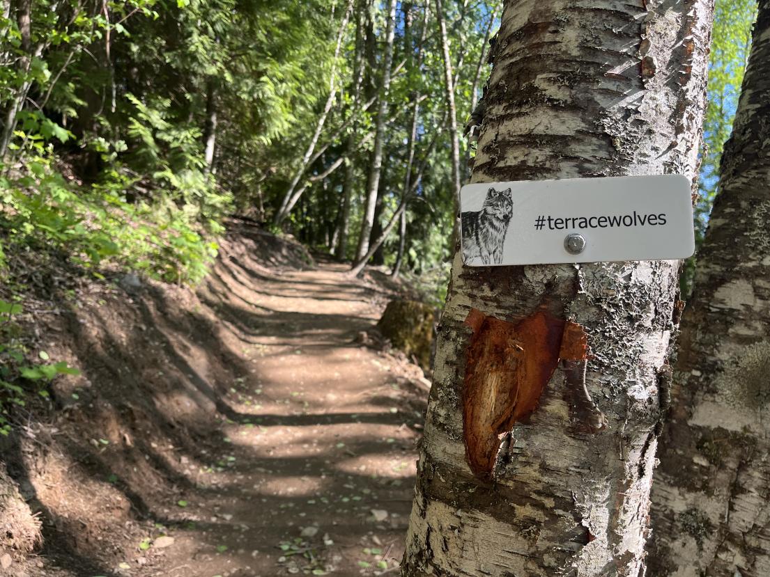 wolfpack trail viewpoint signage