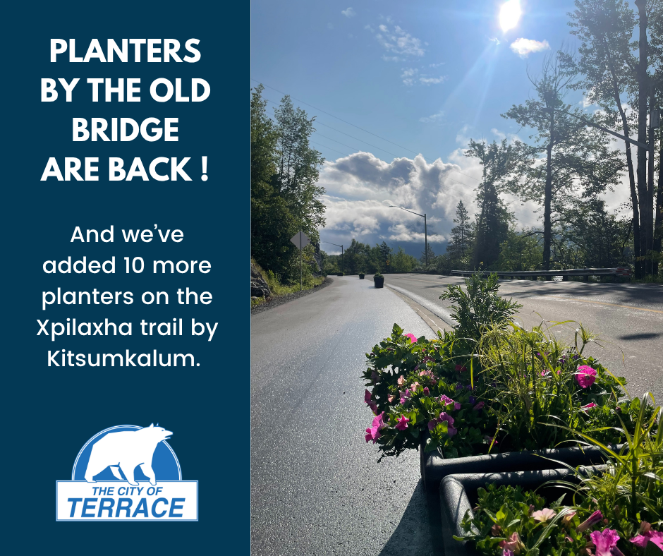 planters are back 2025