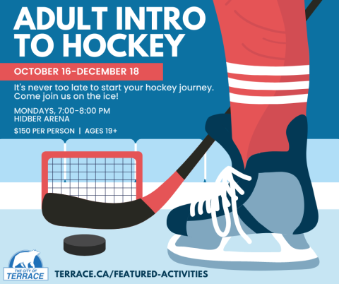 hockey player's lower leg with a stick and puck visible, and a net in the background