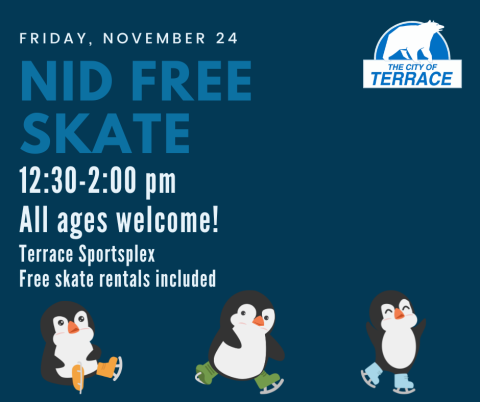 3 little penguins in skates alongside the NID skate details, also written out below.