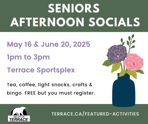 seniors afternoon socials poster updated
