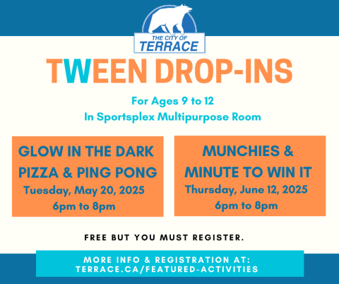 tween nights drop in poster