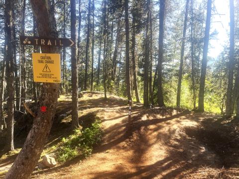 Improvements to bottom of Flathead biking trail